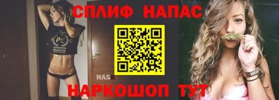 гашик Гусев
