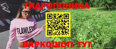 гашик Гусев
