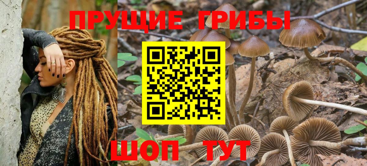 Псилоцибиновые грибы GOLDEN TEACHER Ковров