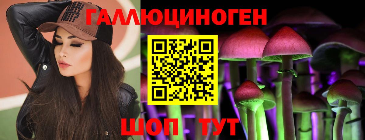 Ковров  продажа наркотиков  Вход с VPN  Псилоцибиновые грибы Psilocybe 